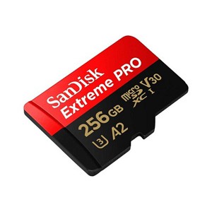 SanDisk SDSQXCZ-256G-GN6MA